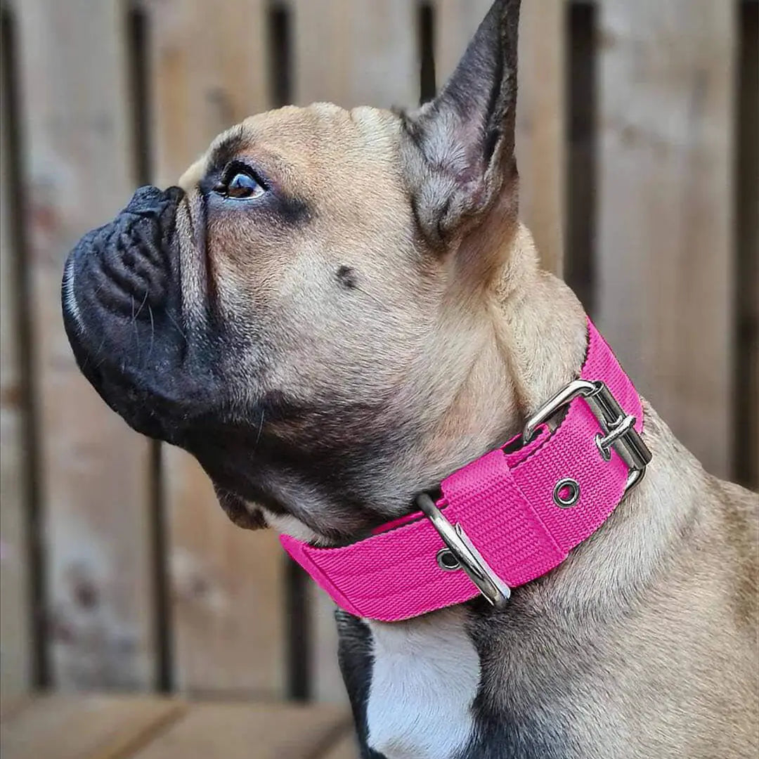 Bandana Collar de Espuma para Perros HejK.com Marketplace LLC