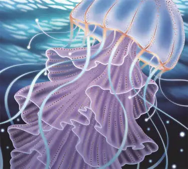 TAP -- Wall Covering Fabric WEM Support (www.WEM.support)