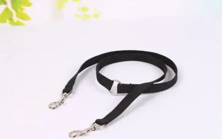Double Coupler Dog Leash WEM Support (www.WEM.support)
