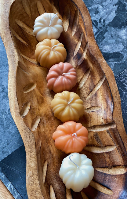 Autumn Pumpkin Handmade Soy Wax Candle WEM Support (www.WEM.support)