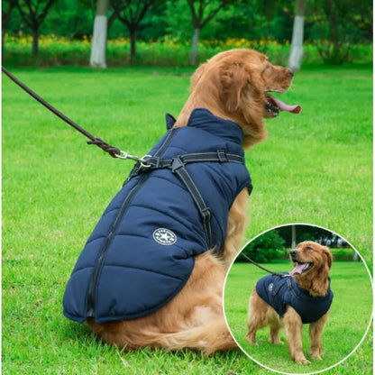 Dog Cotton Winter Vest WEM Support (www.WEM.support)