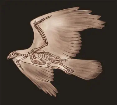 TAP -- Wall Covering Fabric WEM Support (www.WEM.support)