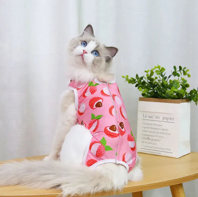 Spay & Neuter Recovery Wear HejK.com