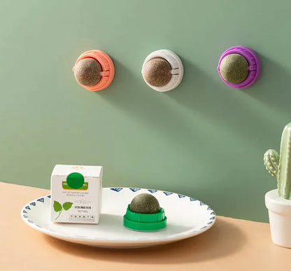 Catnip Ball Cat Toy WEM Support (www.WEM.support)