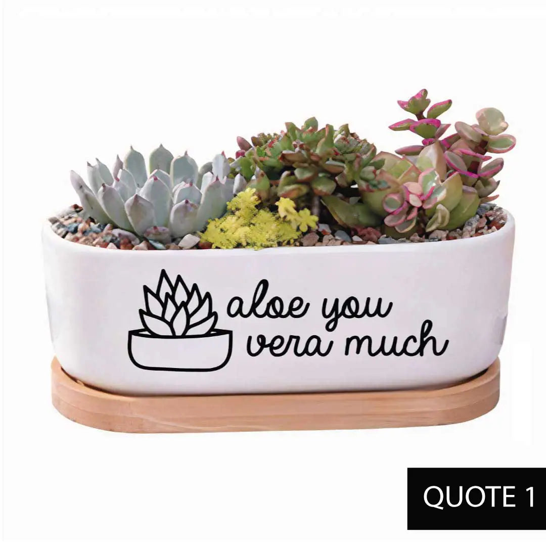 Message in a Planter - Oval 7" Emotional Support Plant WEM Support (www.WEM.support)