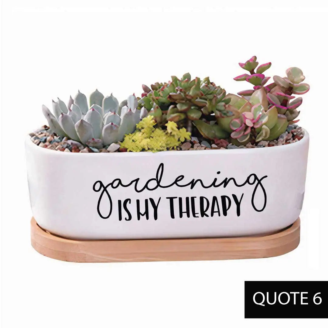 Message in a Planter - Oval 7" Emotional Support Plant WEM Support (www.WEM.support)