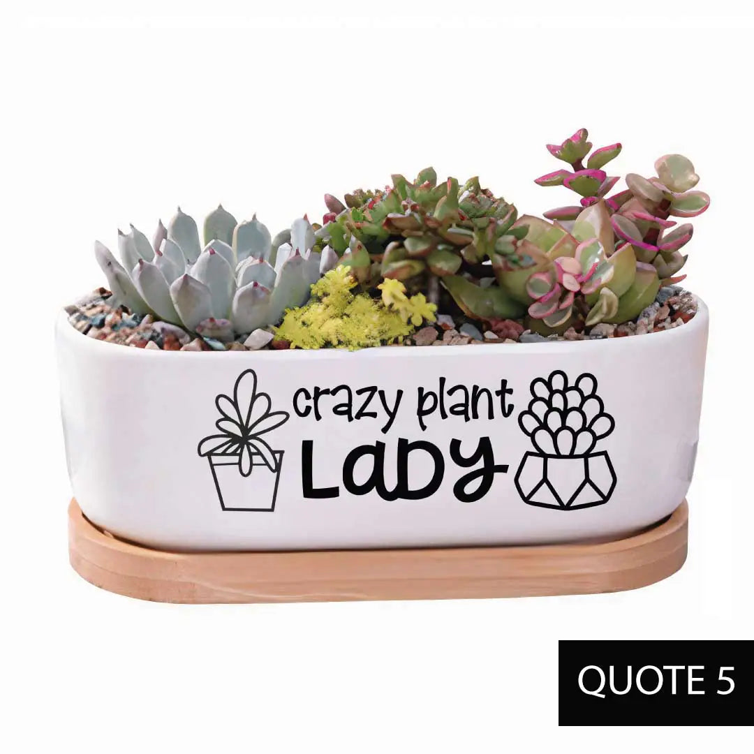 Message in a Planter - Oval 7" Emotional Support Plant WEM Support (www.WEM.support)