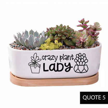 Message in a Planter - Oval 7" Emotional Support Plant WEM Support (www.WEM.support)