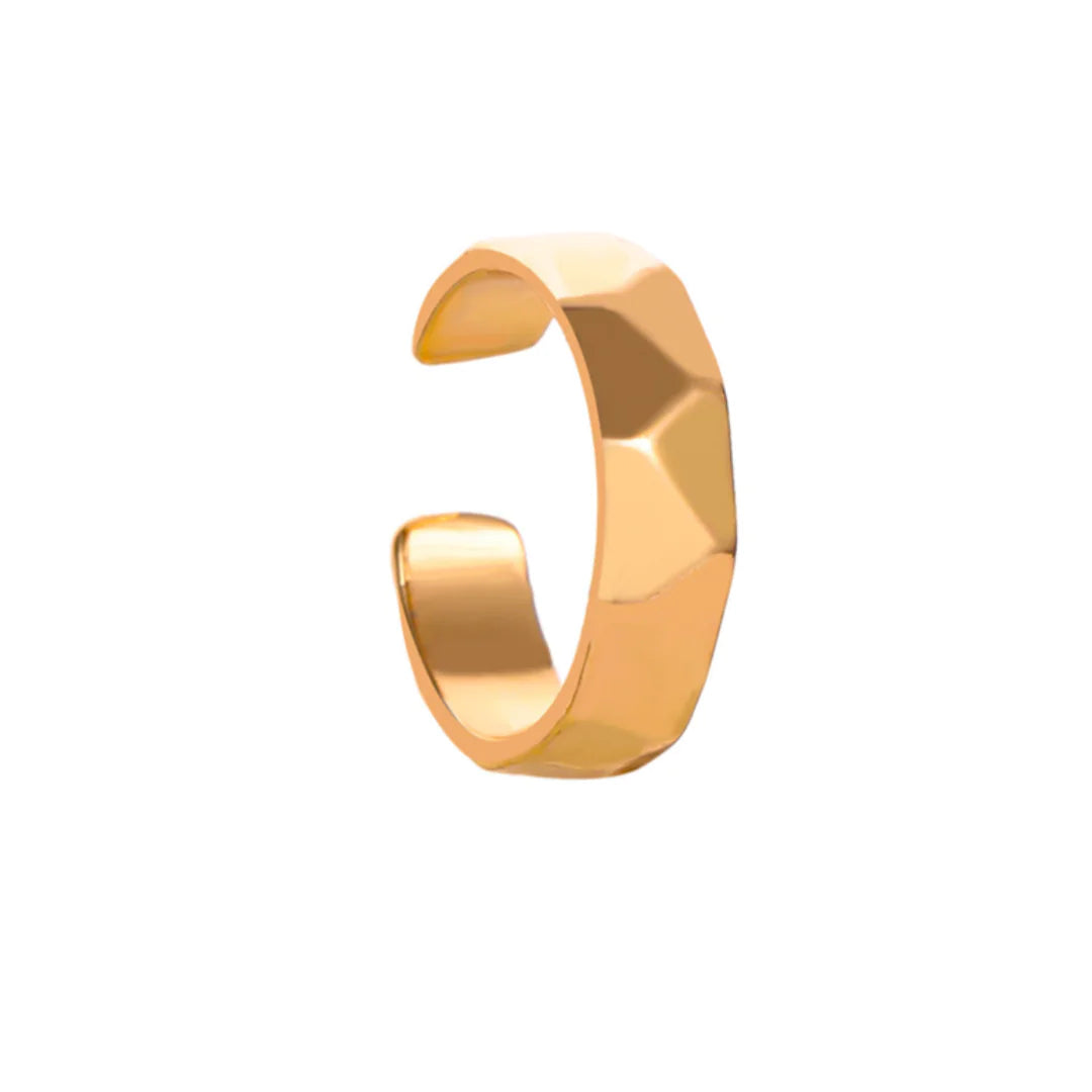 Dann Ear Cuff WEM Support (www.WEM.support)