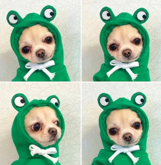 Cute Fruit Hoodie for Small Dogs WEM Support (www.WEM.support)
