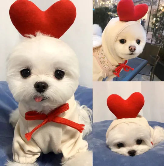 Cute Fruit Hoodie for Small Dogs WEM Support (www.WEM.support)