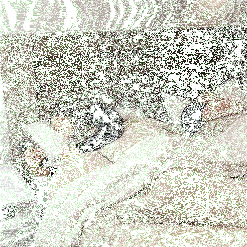 Personal Audio WEM Support (www.WEM.support)