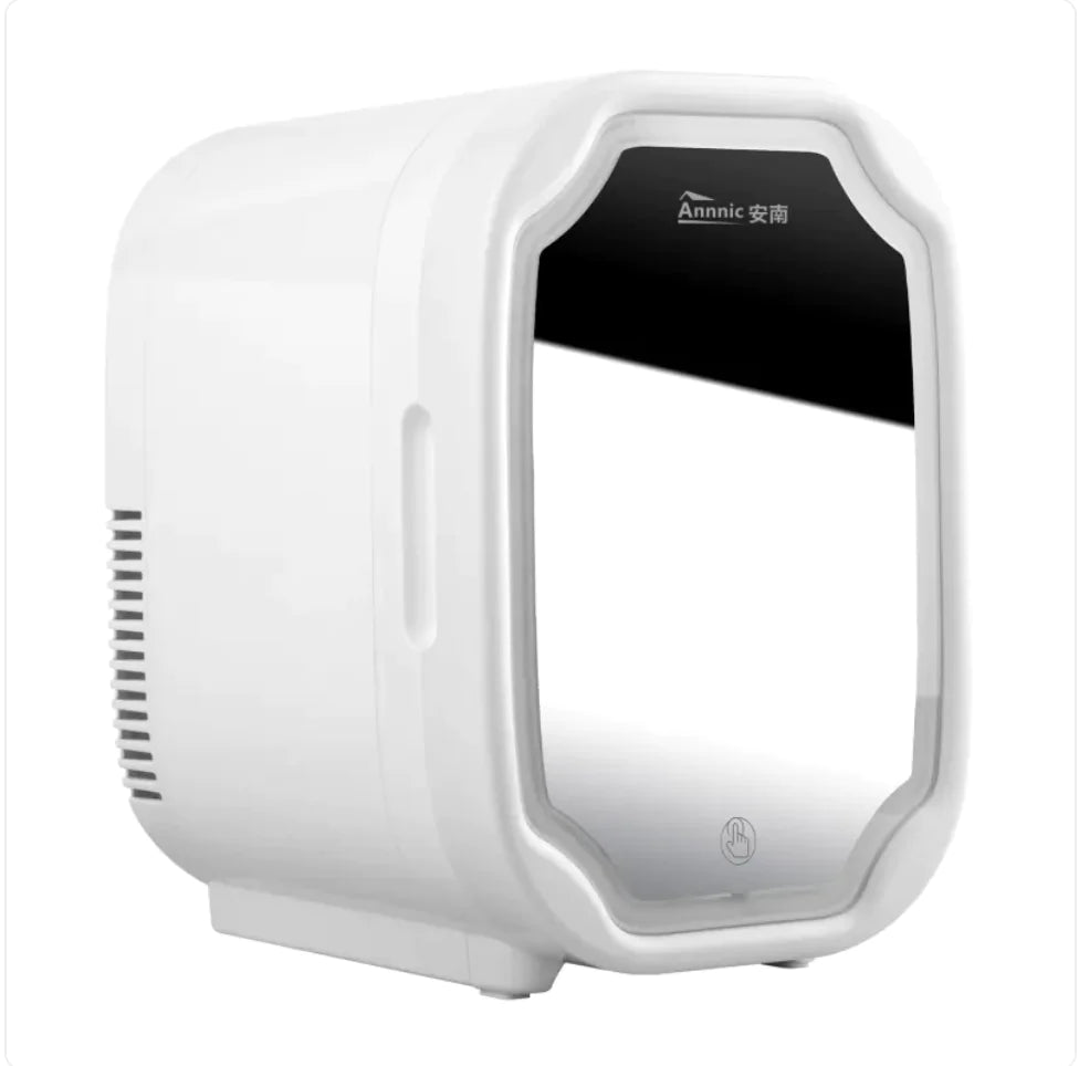 Portable Mini Beauty Fridge with Mirror, 110V WEM Support (www.WEM.support)