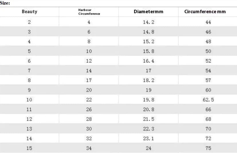 Stainless Steel Ring for Men HejK.com