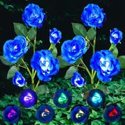 Rosas Solares de Jardim que Mudam de Cor